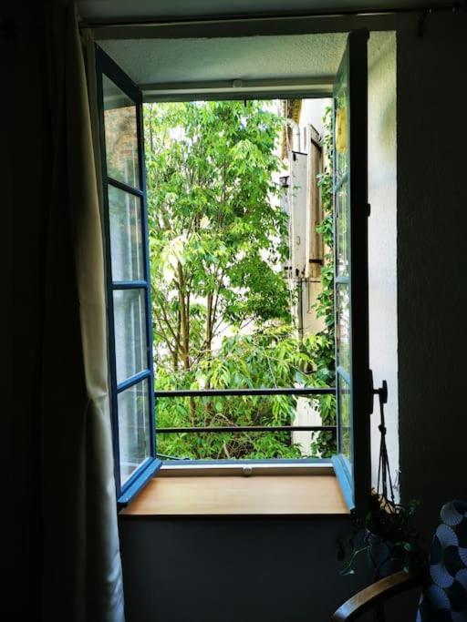 Appartement Nid Douillet A Quelques Pas De La Gare.
